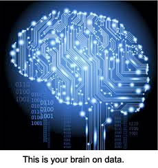 Data on the brain